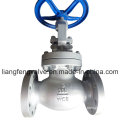 Globe Valve, Flanged Ends, ANSI/Amse